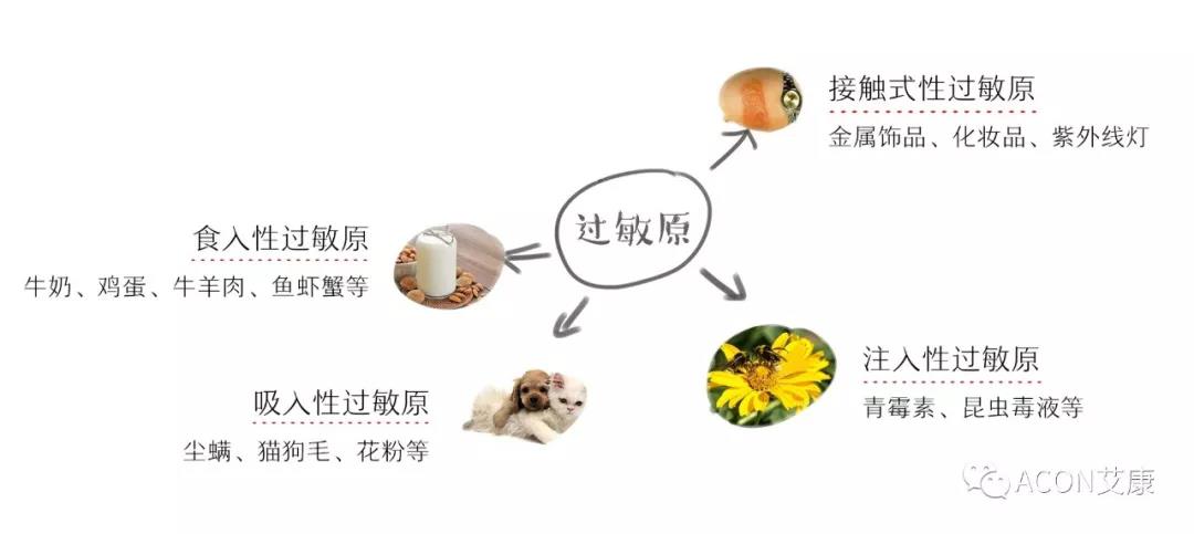 APAAACI 2019 | 深入解讀過(guò)敏原：從診斷到治療，優(yōu)化過(guò)敏原診斷管理——艾康生物過(guò)敏原檢測(cè)分會(huì)
