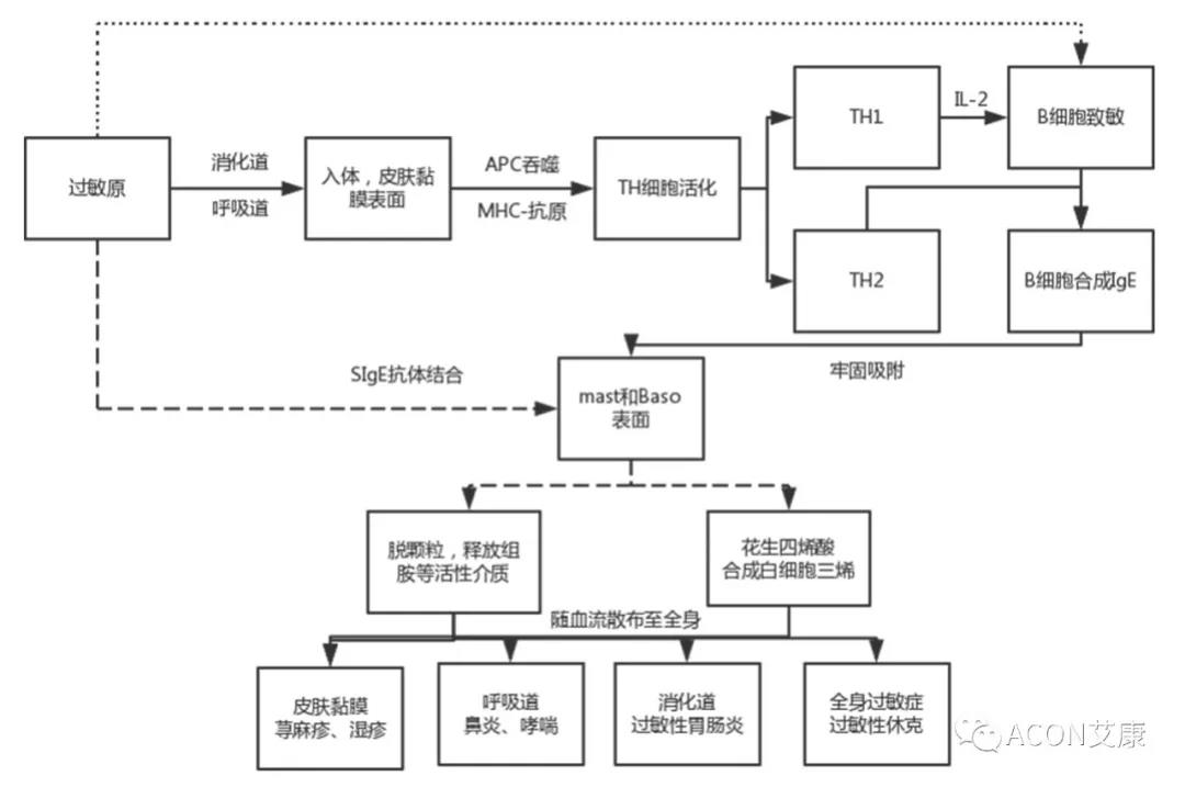 APAAACI 2019 | 深入解讀過(guò)敏原：從診斷到治療，優(yōu)化過(guò)敏原診斷管理——艾康生物過(guò)敏原檢測(cè)分會(huì)