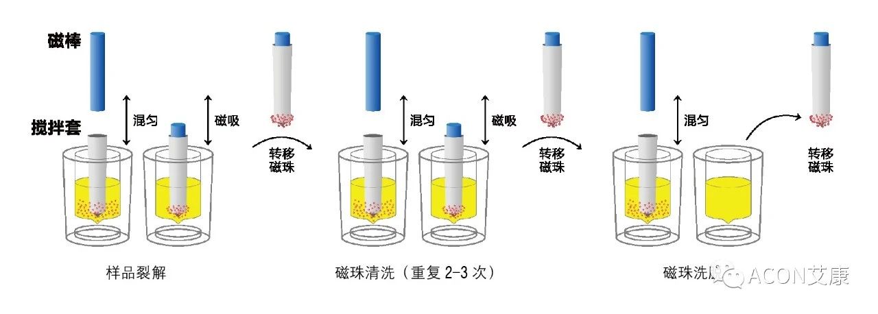Promotor?核酸提純儀， 讓基因提純更便捷。