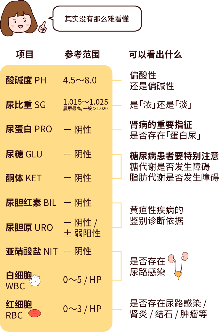 排尿黃、異味大，可能是身體在報警！